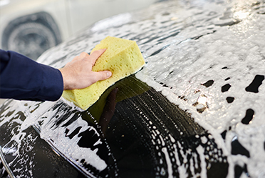 Esponja para lavar autos